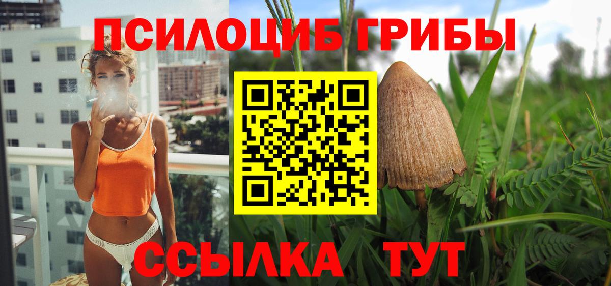 Галлюциногенные грибы GOLDEN TEACHER Балашиха